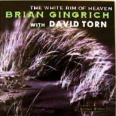 Brian Gingrich, David Torn - The White Rim Of Heaven