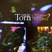 David Torn - What Means Solid, Traveller?