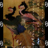 Allen, Daevid - Stroking the Tail of the Bird