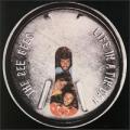 The Bee Gees - Life In A Tin  Can - Life In A Tin  Can
