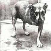 Alice In Chains - Alice In Chains