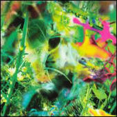 Young Gods, The - Second Nature