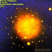 Mahavishnu Orchestra - Between Nothingness & Eternity