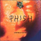 Phish - Picture of Nectar