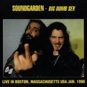 Soundgarden - Big Dumb Sex: Live In Boston, Massachusets USA, Jan 1990