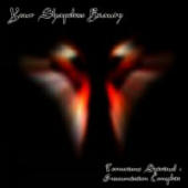 Your Shapeless Beauty - Terrorisme Spirituel