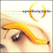 A Perfect Circle - Thirteenth Step