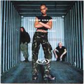 Skunk Anansie - Paranoid & Sunburnt