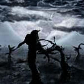 Luna Field - Close To Prime