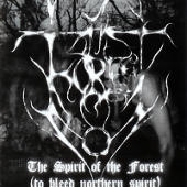 A Forest - The Spirit of the Forest (to Bleed Northern Spirit)