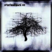 Afterfeedback - Afterfeedback