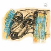 Дельфин - Звезда