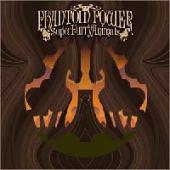Super Furry Animals - Phantom Power