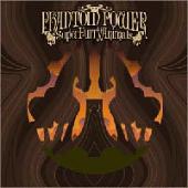 Super Furry Animals - Phantom Power