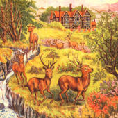 Current 93 - Michael Cashmore/Christoph Heemann - untitled CD (aka An Introduction To Suffering)