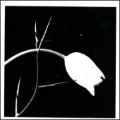 Gidon Kremer - Astor Piazzolla: El Tango