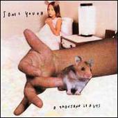 Sonic Youth - A Thousand Leaves