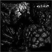 Svartsyn - Skinning The Lambs (split with Arckanum)
