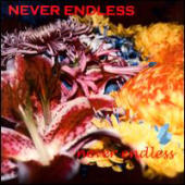 n.ever.endless - Never Endless