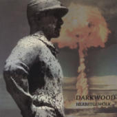 Darkwood - Herbstgewoelk