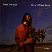 Tears For Fears - Break It Down Again