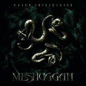 Meshuggah - Catch 33