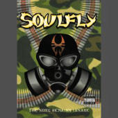 Soulfly - The Song Remains Insane