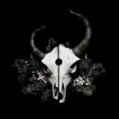 Demon Hunter - Summer Of Darkness