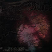 Pustulated - Inherited Cryptorchidism