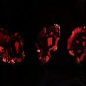 Deathspell Omega - Kenose