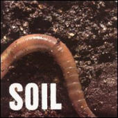 Soil - Soil