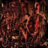 Demoncy - Empire Of The Fallen Angel