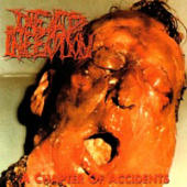 Dead Infection - A Chapter Of Accidents