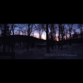 Velvet Cacoon - Northsuite