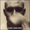 David Gray - Flesh - Flesh