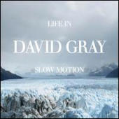 Gray, David - Life In Slow Motion