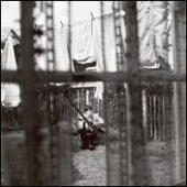 McCartney, Paul - Chaos And Creation In The Backyard