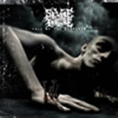 Severe Torture - Fall Of The Despised