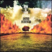 Down To Earth Approach - Another Intervention