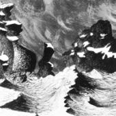 Blut Aus Nord - Ultima Thulee (Reissue)