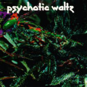 Psychotic Waltz - Mosquito