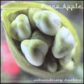 Fiona Apple - Extraordinary Machine - Extraordinary Machine