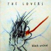 Lovers - Black Orchid