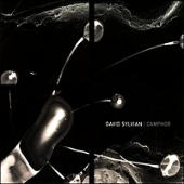Sylvian, David - Camphor