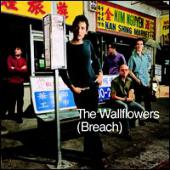 Wallflowers, The - Breach