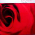 William Orbit - Pieces In A Modern Style - Pieces In A Modern Style