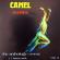 Camel - Echoes The Anthology 1978-92 + Bonus Tracks, Vol. 2