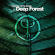 Deep Forest - The Essence Of The Forest By Deep Forest