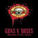 Guns N' Roses - Welcome To Destruction (DVDA)
