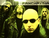 Panchrysia
